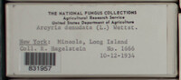Image Associated With the Occurence